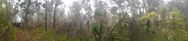 2F437CBF-5AB3-4B3F-A209-3B9DA520B747