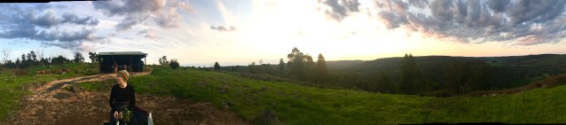 D5C6B8FA-0181-4336-9E2E-E5C756FCF2A8