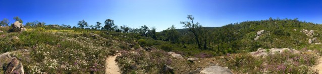 F530FFC8-BDE4-4542-995B-6ED07CF38BE8