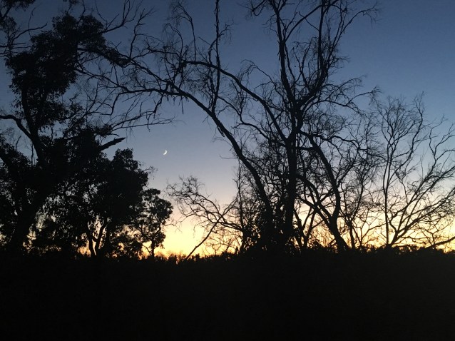 834FE287-5ED6-4734-B20B-B1B3C09AEE4A