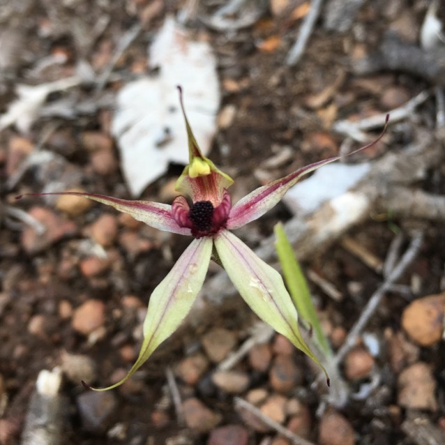 0F86C18D-FB10-45A0-B8DC-7F6853E79C6A