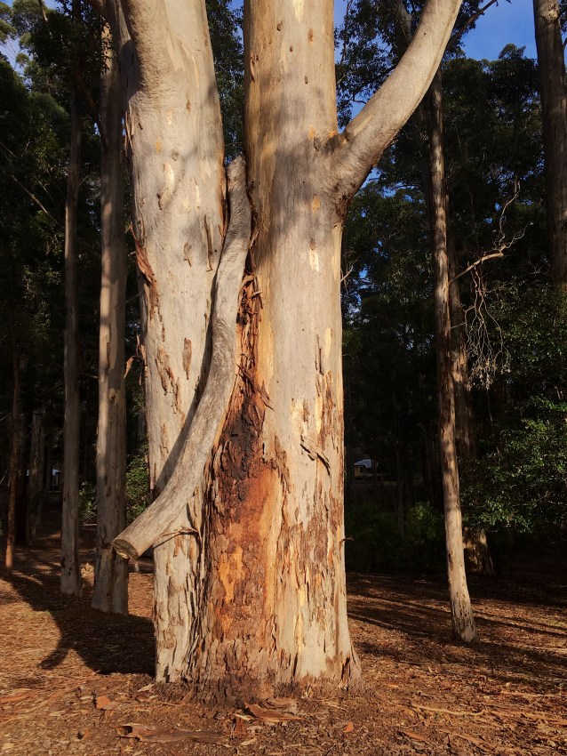 122EC85E-34AC-4077-A9D6-43ABF3C9B1DC