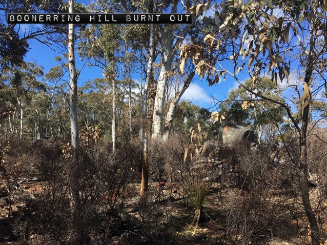 16CDE07D-A68D-43B5-AD17-444EC899D48D