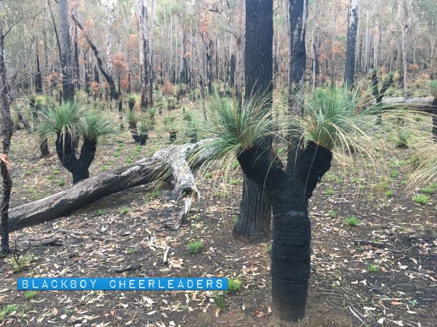 1BF2FBB6-2ED8-4BEF-80F5-C0C8E17189BC