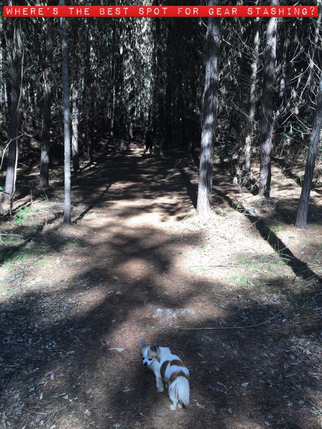 1CF26B08-17F3-4509-93E3-7B7526ACBB2E