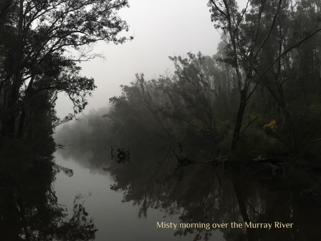 1E795401-23A2-4E08-9A16-CF6BD4C87525