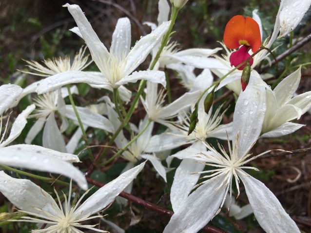 219BD69E-9D72-482C-85EA-49B82A2D9F54