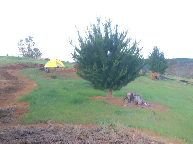 271651A6-CCD9-4DA2-8A90-D65595F02F54