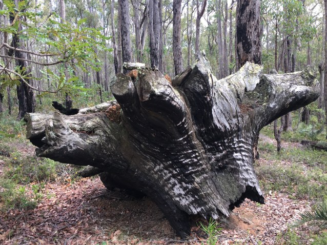 2AA153C7-7B88-4905-B83F-97150148FC81