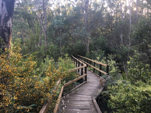 34A300A6-528C-48C4-A214-20B4E8DF9011