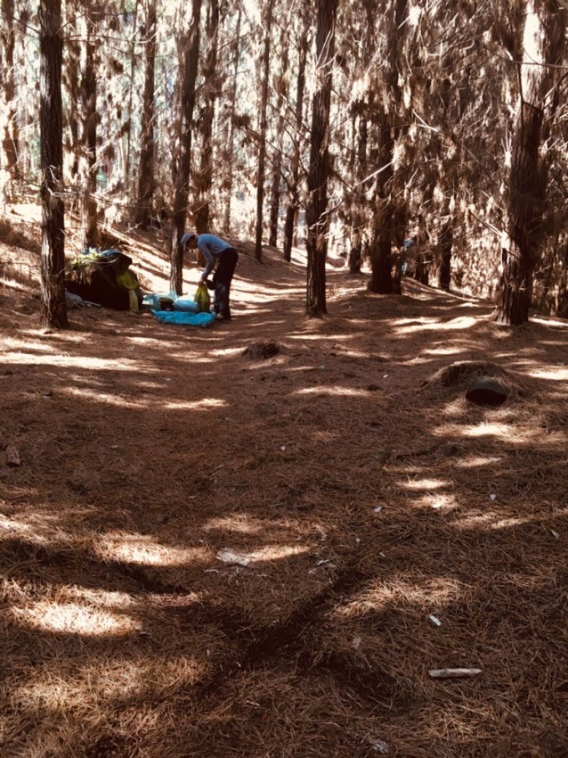 3C0CF7AD-8381-4F5E-BAAA-FF17AB5D61DB