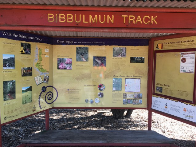 543CB383-ED28-4B9E-8602-DE067130A55D