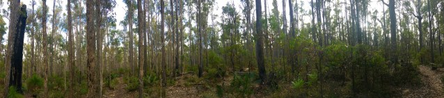 74CDA66D-9A32-4A4E-AD00-E8F975EBA418