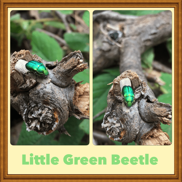 843C3866-95CE-43AB-870F-944D7DFF0471