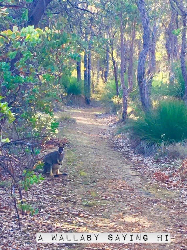 8A75D4C6-406A-4E8C-BE66-15CE0E5C5CC0