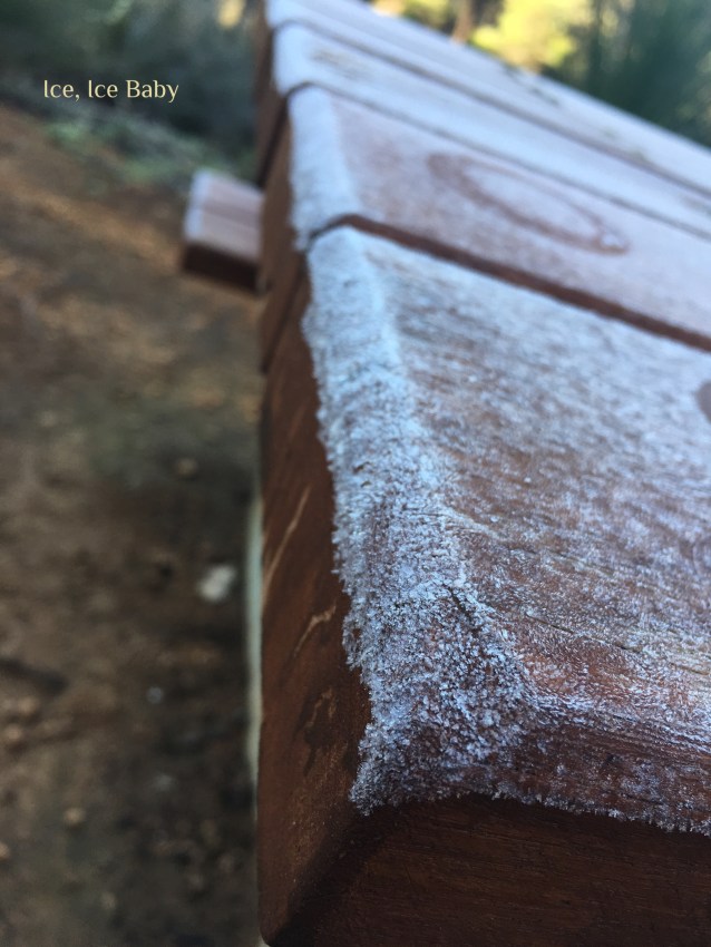 8D6A65BF-7568-444A-BACF-AB58070F3299