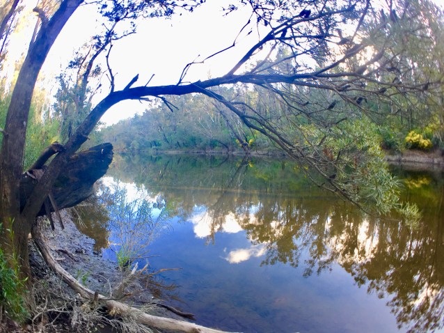 B1ADDFEF-B383-435E-9BBA-57E7AE5CC9FA