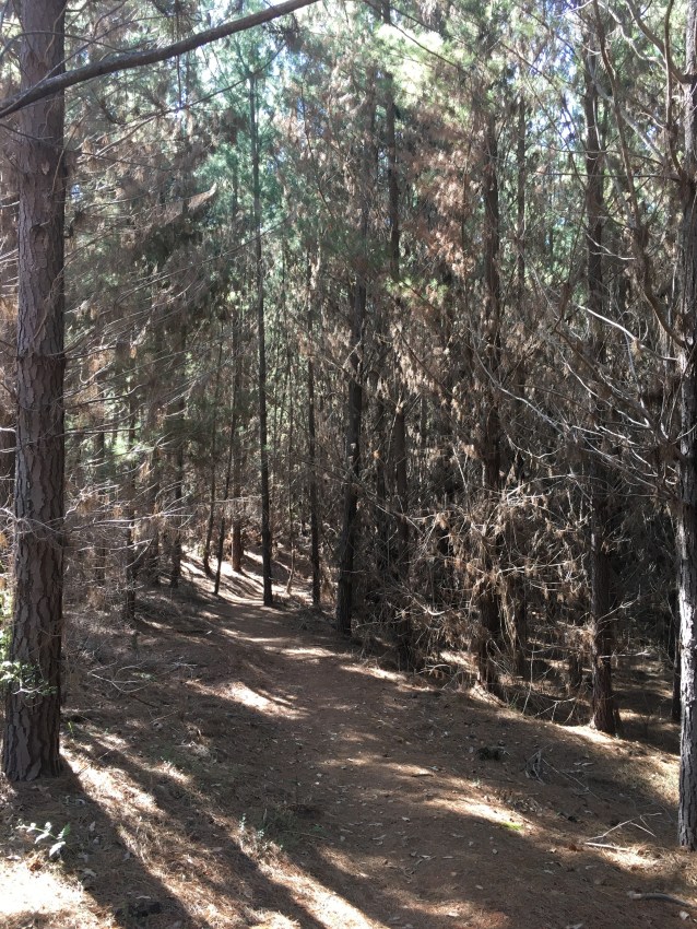 BCC1ED3B-DAF9-496B-8A86-47CD72F1DB8F