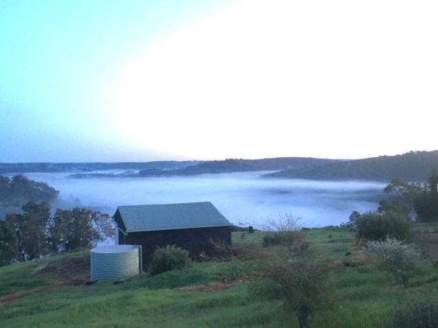 C3C6DCE1-C827-43A8-98AA-9160DE9BF0F0