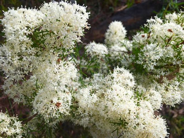 C3C982BD-D37D-45F1-9252-109F4856EB4E