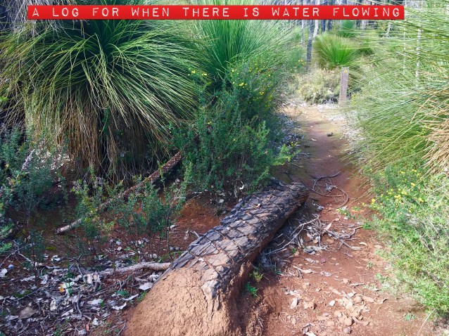 C538CD44-8BF7-42B8-B539-87730538B4A8