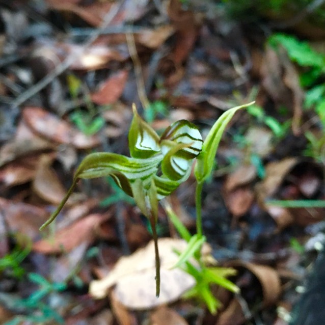 C85E28BA-377A-4844-A44A-64CBE1DBA72F