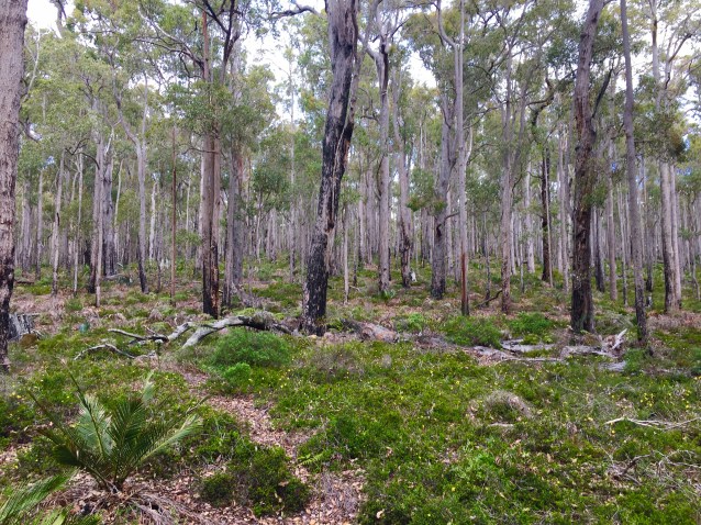 C8F04DD6-5AF8-45CC-AD93-6A18D671F67E