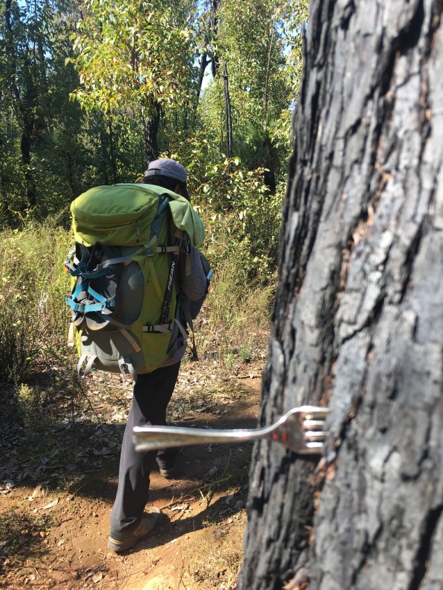 CA3641F1-A280-4F2C-9506-8816A6E1E834