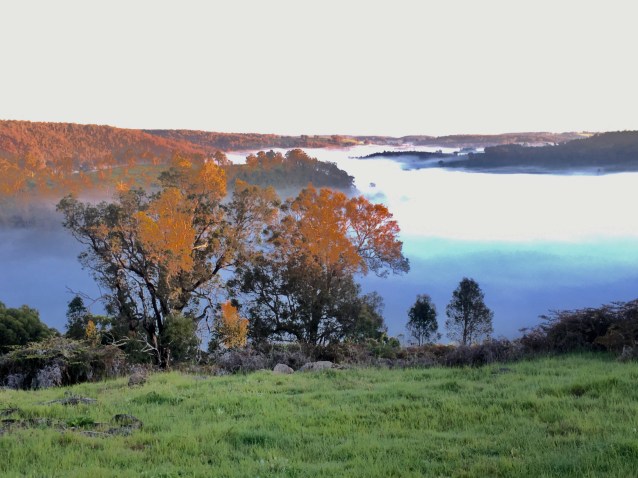 CAF41FD9-380A-4108-A315-DF7E52DEF9F7