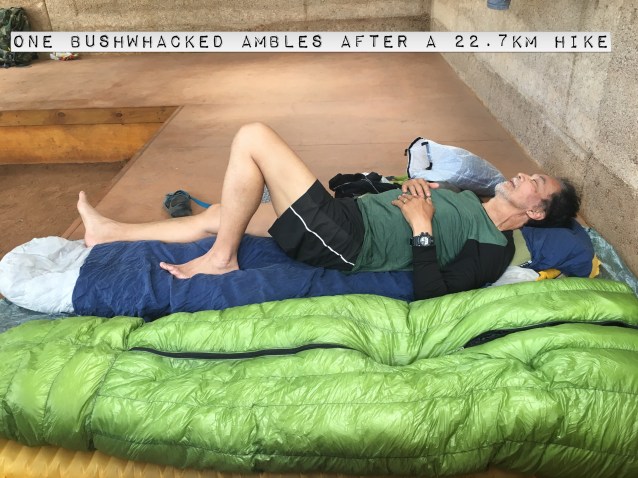 D00AB17C-0654-4664-9C52-97F6DE29EA7B