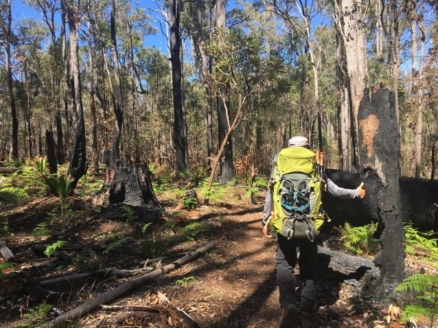 D027715E-BF14-42F3-823B-74F2D112D109