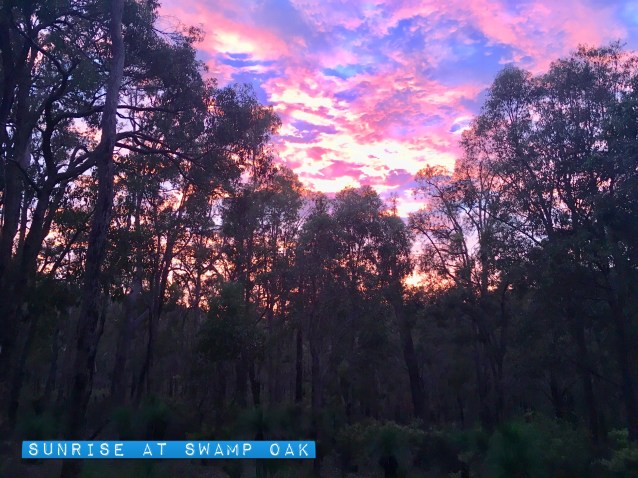 D3ACC6E3-B6B8-4E47-A40B-10D32A8AE8E8