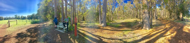 D509E36D-B5CA-423B-BD88-751341897221