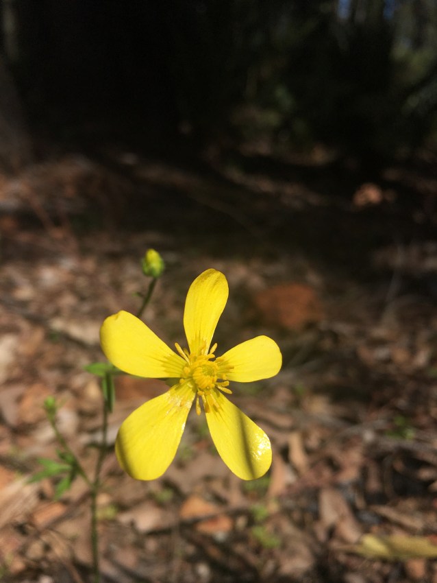 D7648CA8-919B-4EE8-BB28-0B13FD797E1F