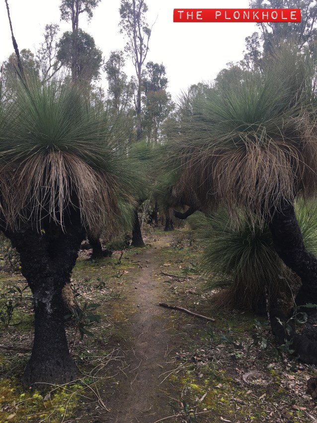 E04E8330-6DC0-4FB3-9EEF-5528D485EFE2