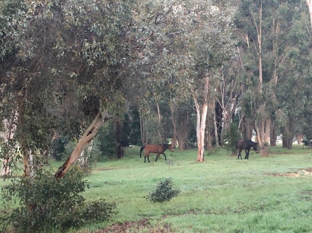 EC92221B-2998-421C-B073-92FC674B8917