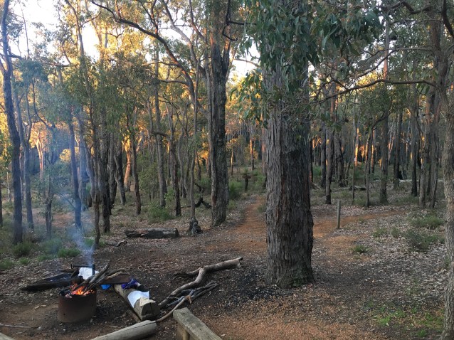 F585F621-3F6B-4D92-8DEF-E5803CF54971