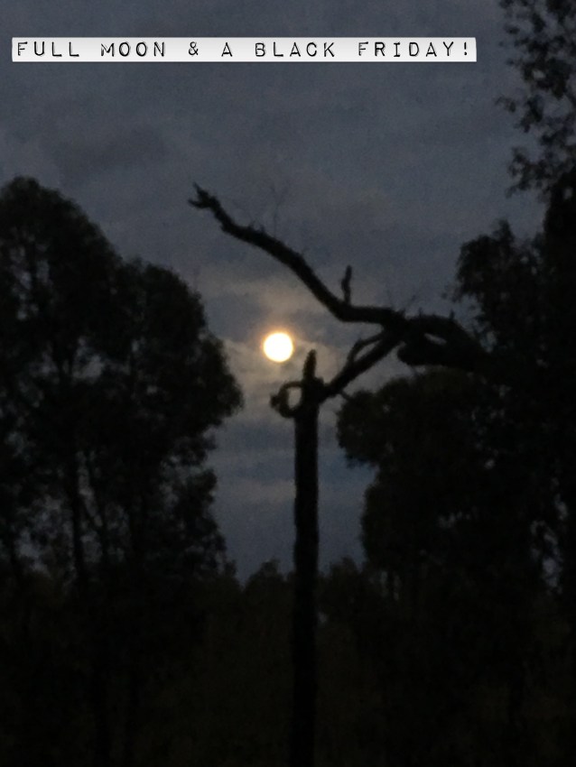 F855B241-6907-4389-AA3B-36AF3B38FA5C