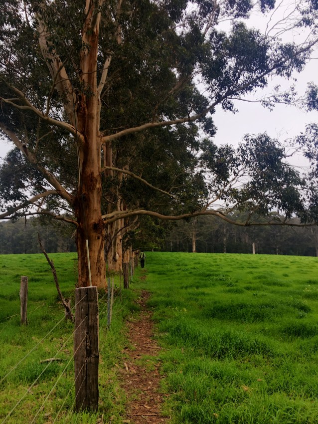 0B497F58-D721-4460-BC9A-2971A6B8046B