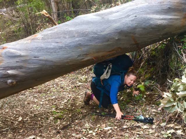 26C364E8-1912-4557-8E1A-86A956D60C02