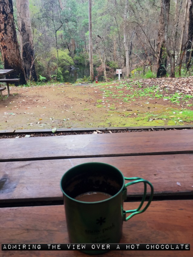 2C201FC5-4333-41C7-A080-38D6E3446BA1