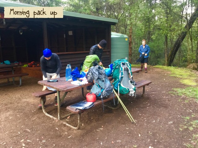 35F16763-79A3-4F8F-9524-40DB0042F8F0