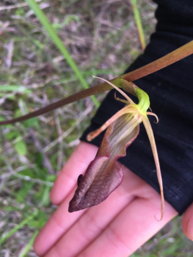 39506E7F-8275-4337-97DF-1B5EE788CC08