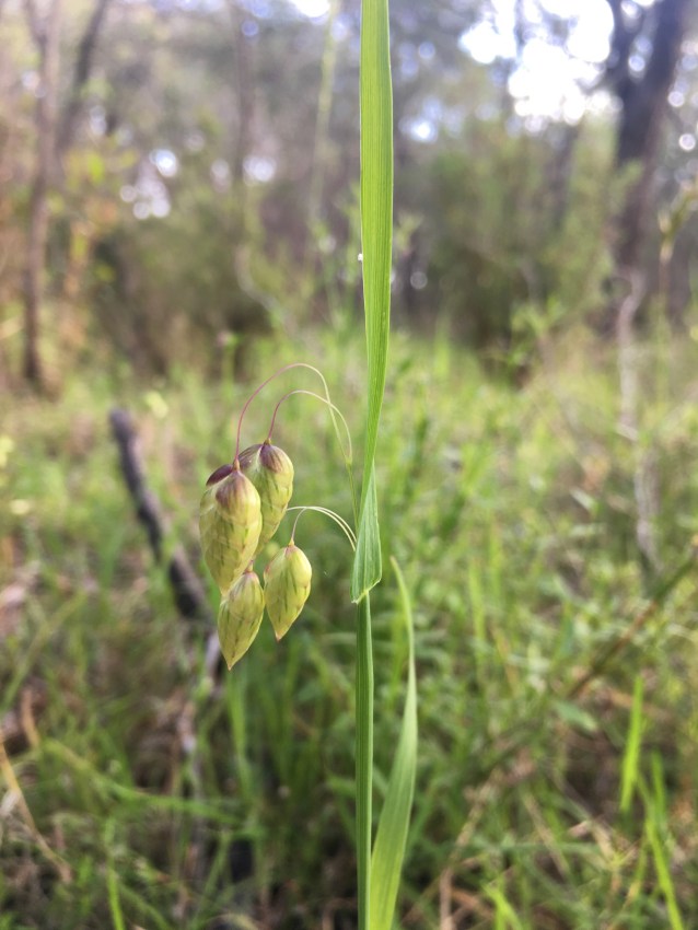 4E06C5C2-4285-4A46-AA16-8BE47AFA72AD