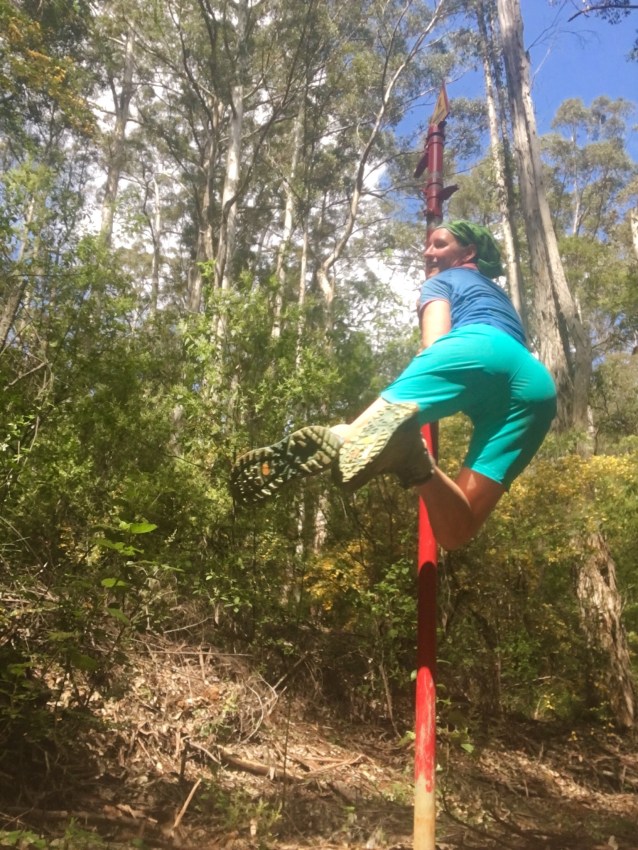 511A360B-448B-46FE-9B00-56AF3570D0AF