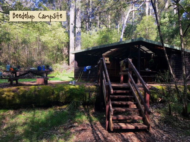 5AC4BA68-EF4A-48C6-ACAD-294A1E41A165