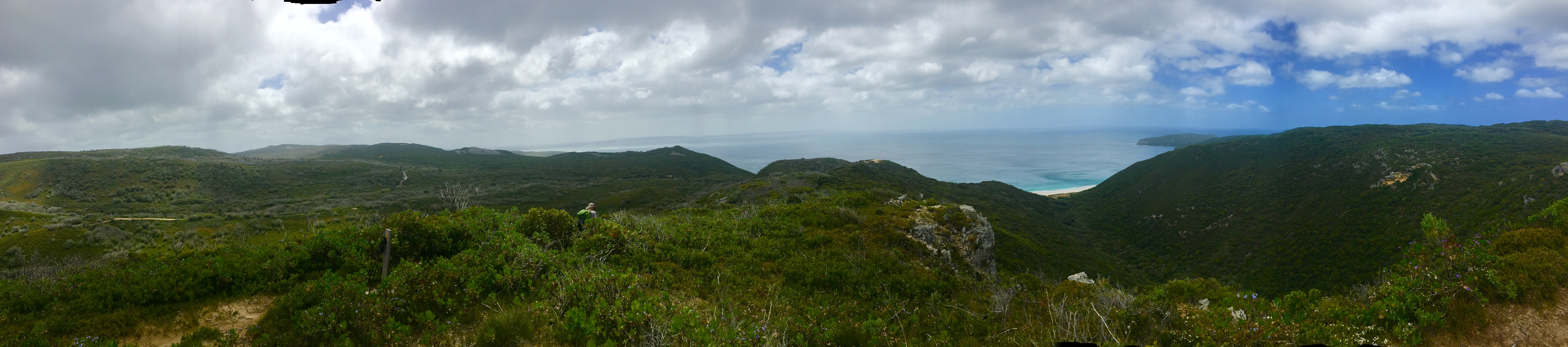 5EFD1DF5-9F30-4A4A-B1FC-58A8F4197CD3