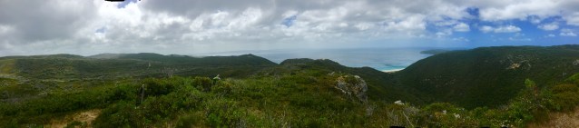 5EFD1DF5-9F30-4A4A-B1FC-58A8F4197CD3