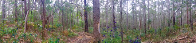 681D53EB-35B5-4760-A5F1-434D660F044A