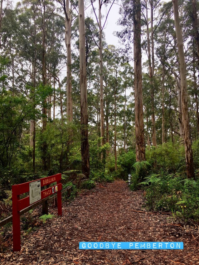 7BCED055-D1DC-4B3A-9769-4DF9914C1E03